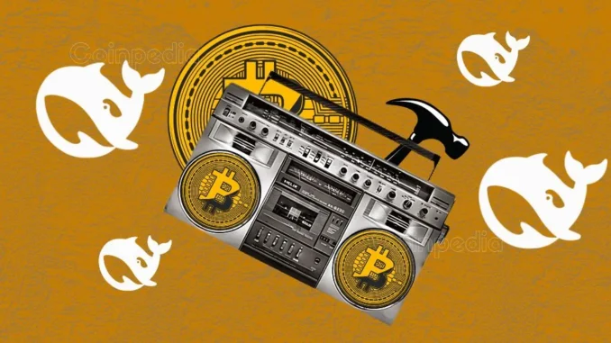 Coinpedia - Fintech & Cryptocurreny News Media