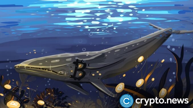 Bitcoin whales add 61,568 BTC as price slips again - 1