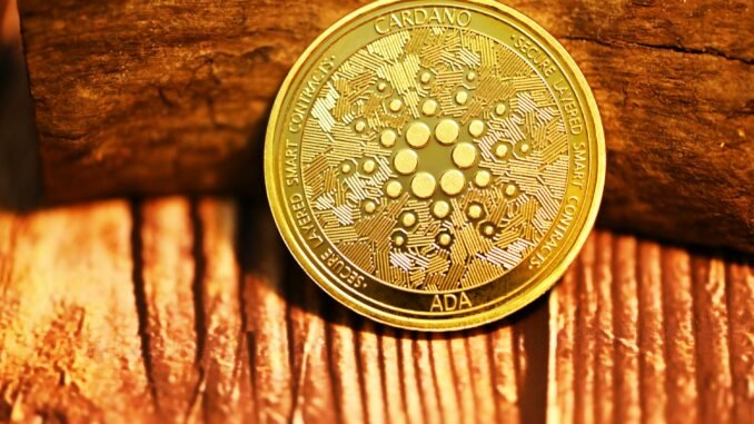 Can ADA Price Still Surge? Cardano Founder Says The Best Cardano