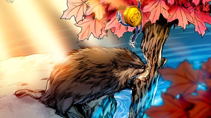 Canada Targeting Crypto Firms With Increased Regulatory Action Canada Targeting Crypto Firms With Increased Regulatory Action