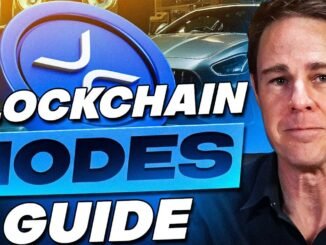 Crypto Ecosystem Guide | How Digital Assets and Blockchains Connect