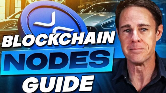 Crypto Ecosystem Guide | How Digital Assets and Blockchains Connect