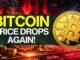 Crypto Market Pulse: Bitcoin Price Drops Again!। Top News of The Day। Powered by CoinSwitch