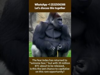 Crypto Wallet vs. Couch Cushion: Where’s My Life Savings? #web3 #crypto