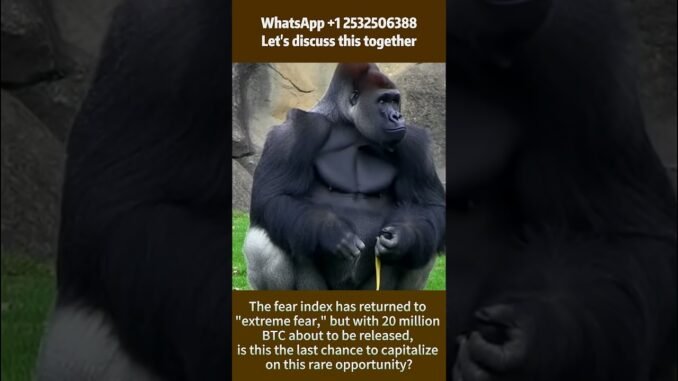 Crypto Wallet vs. Couch Cushion: Where’s My Life Savings? #web3 #crypto