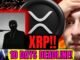 🚨DEADLINE!! XRP this Just HAPPENED!! (XRP REKT NEWS)