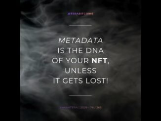 Daily Quote of Decentralized Fun 76-365 #HashTera #crypto #nft #web3