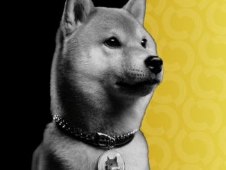 Dogecoin Down Bad as Bitcoin Gives Up Latest Gains