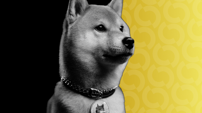 Dogecoin Down Bad as Bitcoin Gives Up Latest Gains