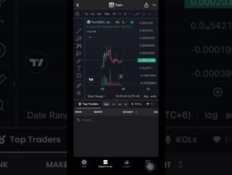 Don’t get REKT on Solana!  Analyzing $TWIN...  #dexscreener #solana #memecoin #crypto