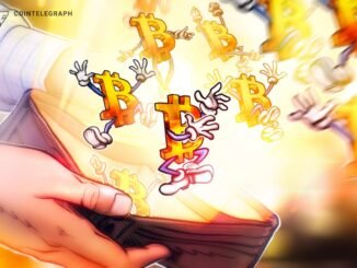 Dormant Bitcoin Whale Wallet Awakens After 13 Years