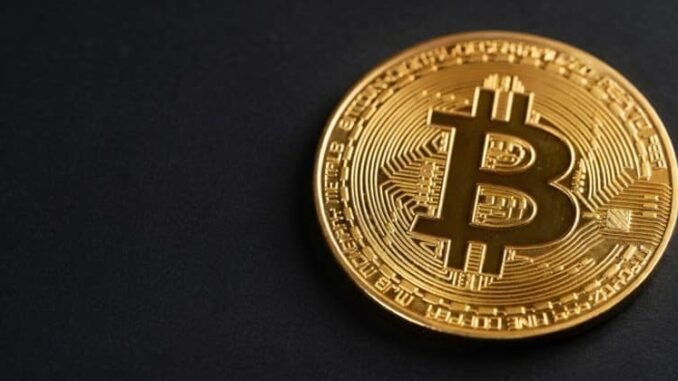 Elon Musk animates Bitcoin waifu after viral fan art request