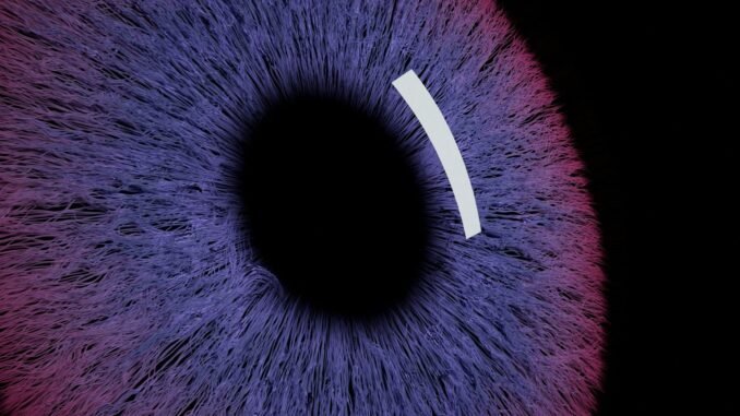 Family offices turn to AI for financial data insights Family offices turn to AI for financial data insights