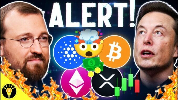 HUGE! CRYPTO IN 401KS MAKES PROGRESS! CARDANO MIDNIGHT LIVE & ELON MUSK BITCOIN!