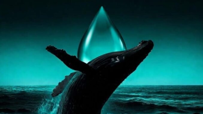 Hyperliquid trader goes all in on oil and gets liquidated in under 40 minutes