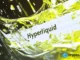 Hyperliquid’s fee machine is trading like a cheap growth stock