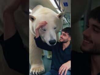 I'm in metro with white snow bear 🐨 #ai #grok #trend #bear #snow #metro #caetoon