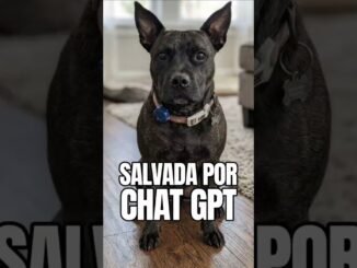 Ingeniero usa IA para curar el cáncer de su perra