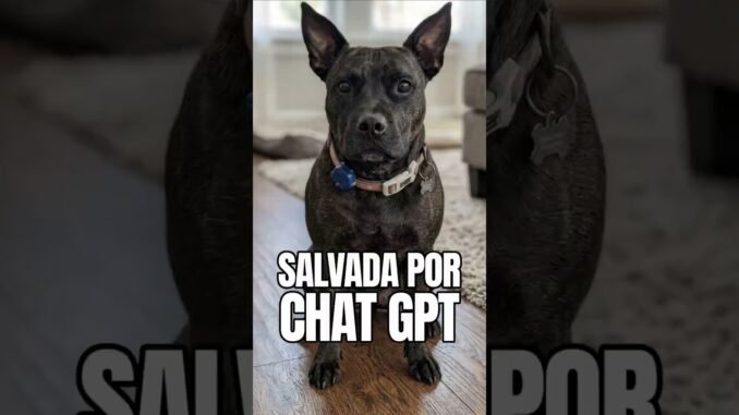 Ingeniero usa IA para curar el cáncer de su perra