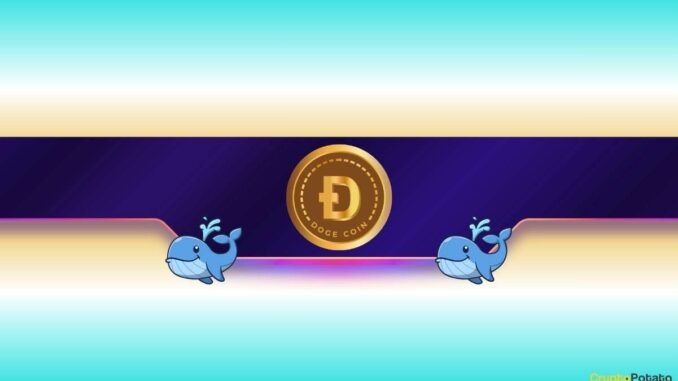 Is Dogecoin Ready to Rally?