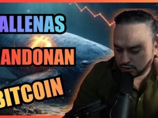 La mayoría pierde en Bitcoin por esto: NO SABEN ESPERAR