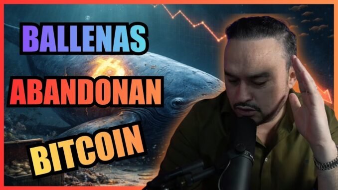 La mayoría pierde en Bitcoin por esto: NO SABEN ESPERAR