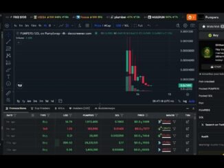 New Solana Gem Found on Dexscreener!