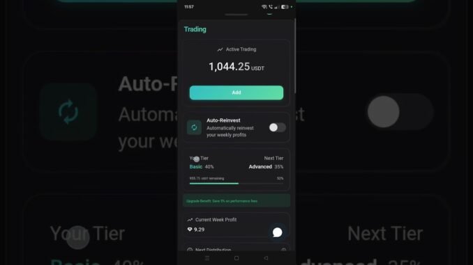 Polar Tensor| Binance live trading profits proof 🧾