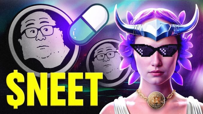 Pump Fun Coin Spotlight 🚀 $NEET and the Crypto Movement Beyond the 9–5