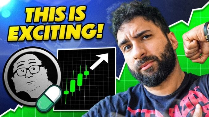 Pump Fun Gems Spotlight 💎 $NEET Token & the Crypto Movement Against the 9–5