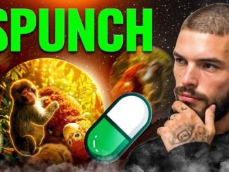 Pump Fun Tokens Spotlight: Is $PUNCH the Most Meaningful Meme Coin on Solana?