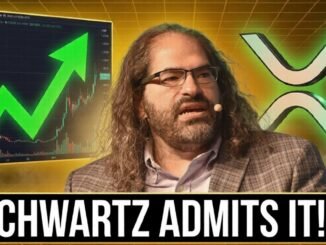 Ripple XRP News - DAVID SCHWARTZ JUST ADMITTED THIS ABOUT XRP'S PRICE!!!