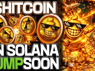 $SHITCOIN ON SOLANA IS ABOUT TO GO FOR A BIG PUMP!!