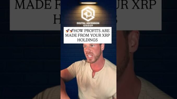 SHOW How Profits Are Made From Your XRP Holdings | XRP Price Prediction & Ripple News Update