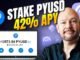 Stake PayPal USD Coin 🚀 42% APY Explained (Step-by-Step)
