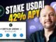 Stake USDAI Coin 🚀 42% APY Explained (Step-by-Step)