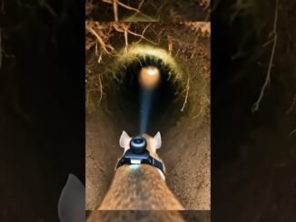 This AI Bot Trades Better Than Humans 🤯 #ai #aivideo #shortvideo