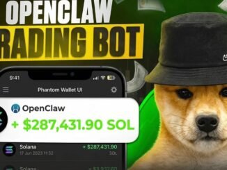 This AI Solana Trading Bot Made Me $3000 In One Day (OpenClaw Setup)