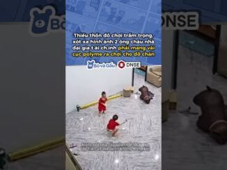 Vừa chốt lời xong quên đóng két #bovagau #dautu #memes #cryptocurrency #bitcoin #trading