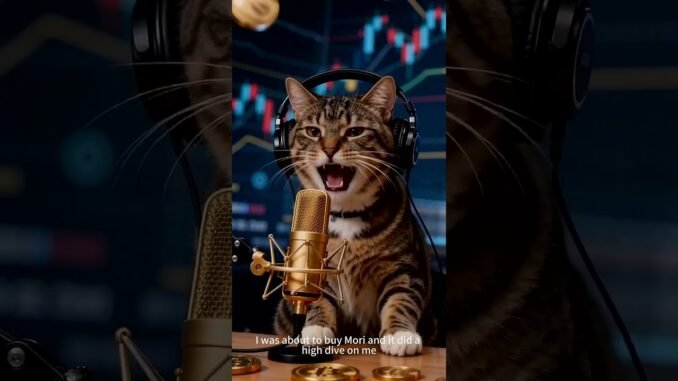 Web3 Crypto Market Events and Hot Topics#web3 #cryptocurrency