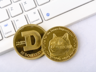 What Does The SpaceX IPO Have To Do With The Dogecoin Price?