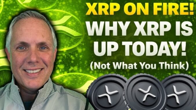 XRP And The Crypto Market Is On Fire! Find Out Why XRP Is Up Today! XRP News!