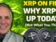 XRP And The Crypto Market Is On Fire! Find Out Why XRP Is Up Today! XRP News!