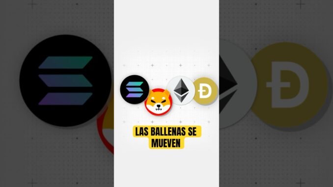 🚨 XRP Es la Señal. ¿La Temporada Altcoin 2026 Empieza AQUÍ? #cryptonews #xrp