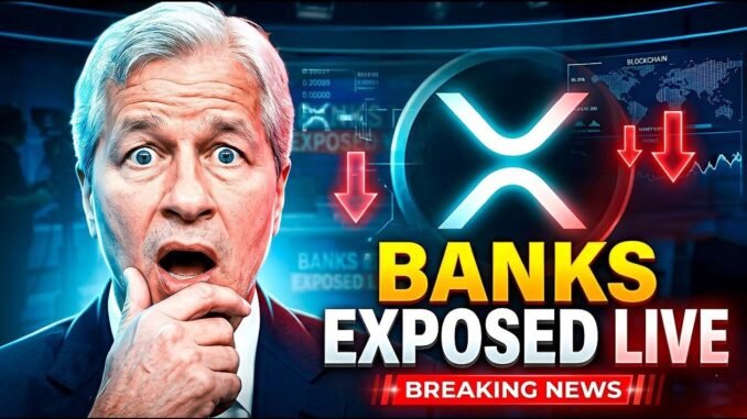 XRP NEWS TODAY: XRPThe Moment Banks Got Called Out on Live TV