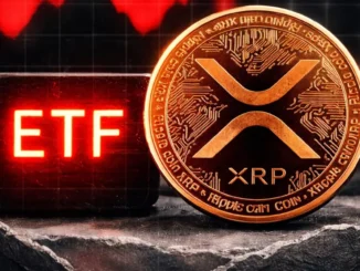 XRP Price Faces Market Paradox as 60% Supply Sits Underwater While Derivatives Activity Climbs
