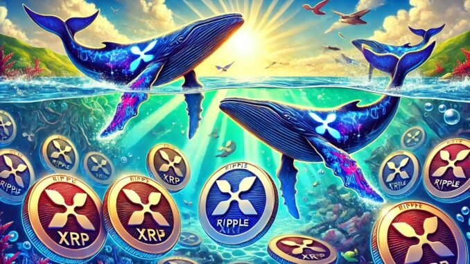 XRP whales