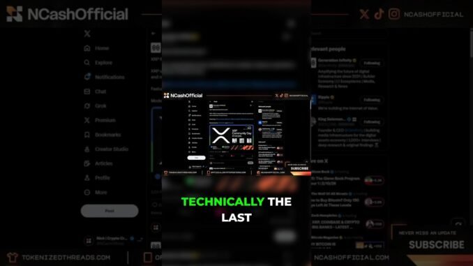 XRP's Dark Horse Is About to Flip the Switch Forever