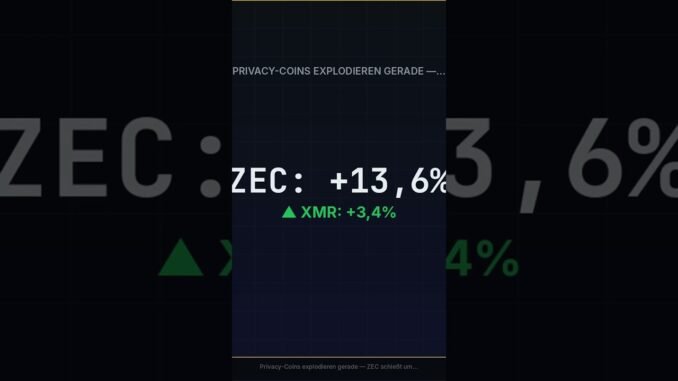 ZEC +13,6% | Privacy-Coins feuern während BTC stagniert — Das bedeutet das #Shorts