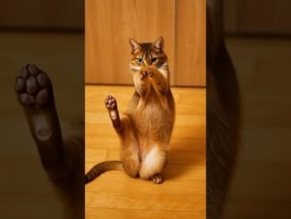 [grok ai] 눈이 댄스